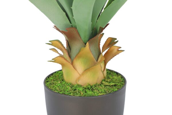 Luxemarrt 27" Sansevieria Snake Plant with Pot - Image 6