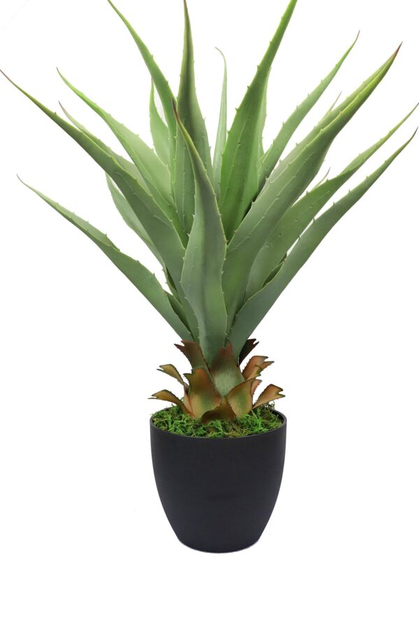 Luxemarrt 27" Sansevieria Snake Plant with Pot